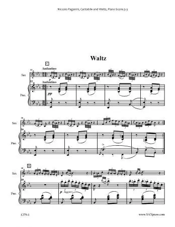 Cantabile and Waltz - Image 4