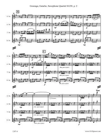 Gaucho Corta-Jaca - Image 3