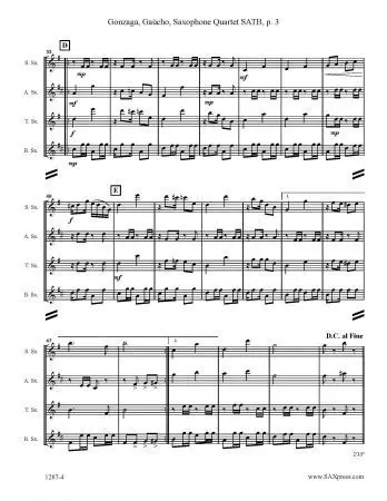 Gaucho Corta-Jaca - Image 4