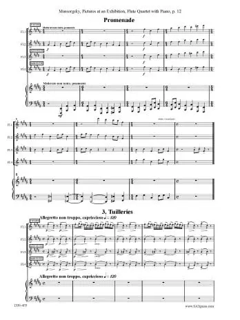 Pictures at an Exhibition Flute Quartet with Piano - Image 5