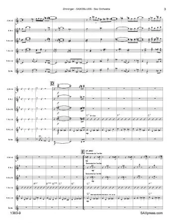 Saxoblues | Jazz Saxophone Orchestra - Image 4
