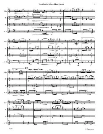 Solace - A Mexican Serenade - Flute Quartet - Image 5
