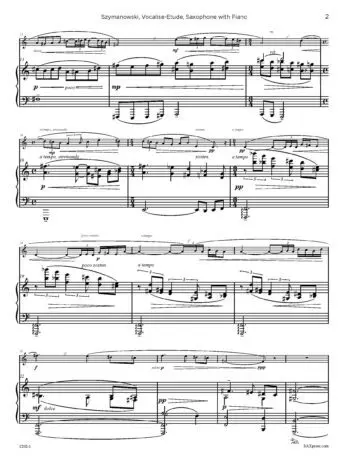 Vocalise Etude (Szymanowski) - Image 4