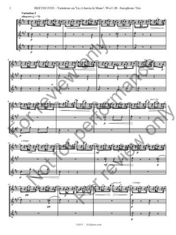 Variations on La ci darem la Mano, WoO. 28 - Image 3