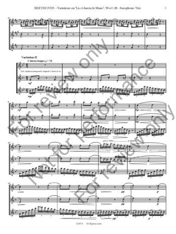 Variations on La ci darem la Mano, WoO. 28 - Image 4