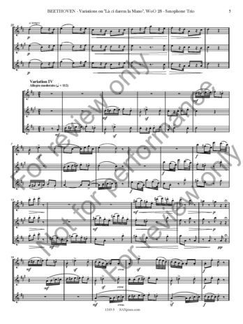 Variations on La ci darem la Mano, WoO. 28 - Image 6
