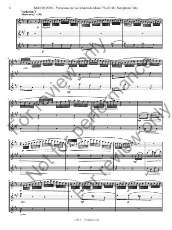 Variations on La ci darem la Mano, WoO. 28 - Image 7