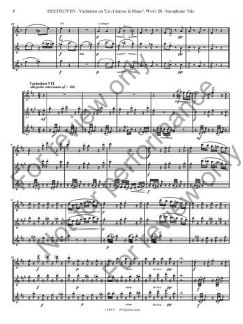 Variations on La ci darem la Mano, WoO. 28 - Image 9