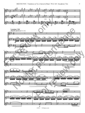 Variations on La ci darem la Mano, WoO. 28 - Image 10