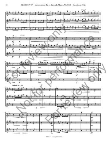 Variations on La ci darem la Mano, WoO. 28 - Image 13