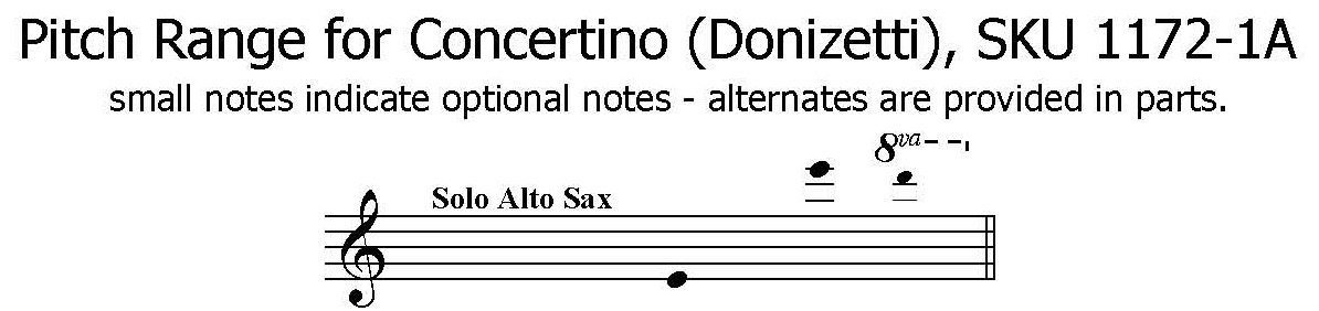 Concertino for Saxophone by Donizetti | Alto Saxophone Solo with Piano